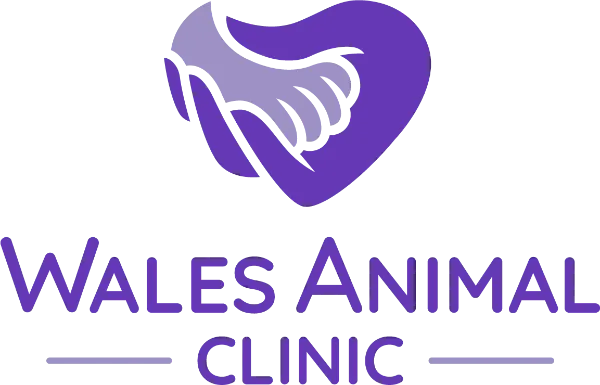 Wales Animal Clinic